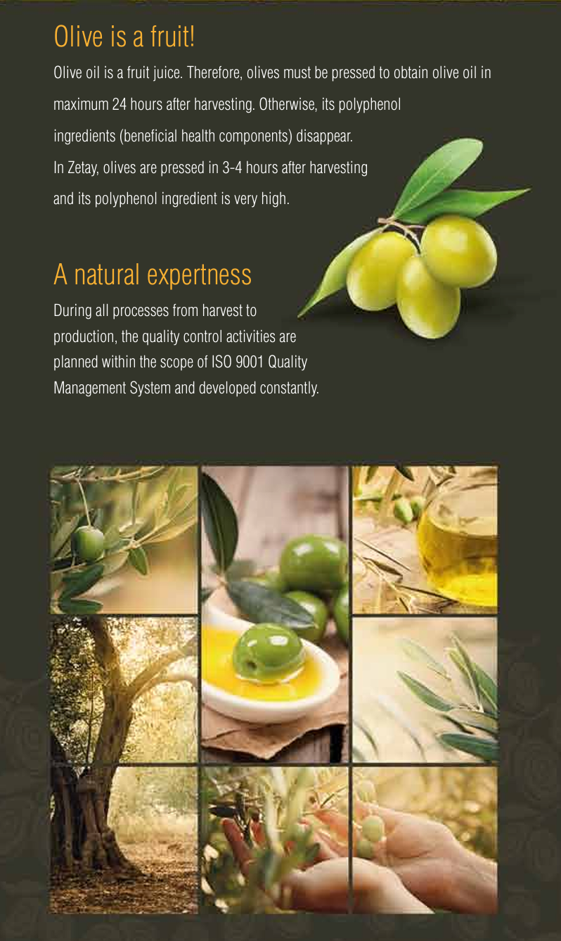 Zetay Premium Quality & Mediterranean Goodness infographic