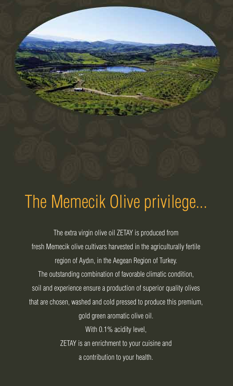 Zetay Premium Award-Winning Turkish Olive Oil - 3 Gold Medals 2014
