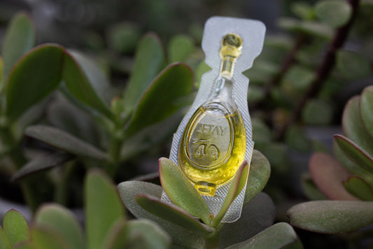 Zetay Premium 10ml single serve olive oil sachet on succulent plant